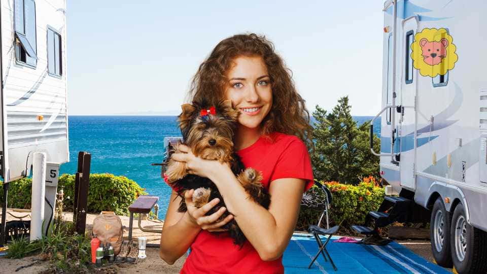 Beste Campingplätze Chiemsee mit Hund: Urlaub 2025 am Bayerischen Meer