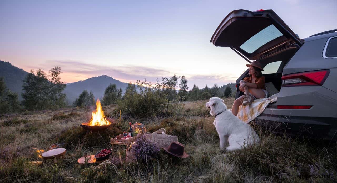 Camping Zandvoort mit Hund: 5 schönste Plätze am Meer 2025