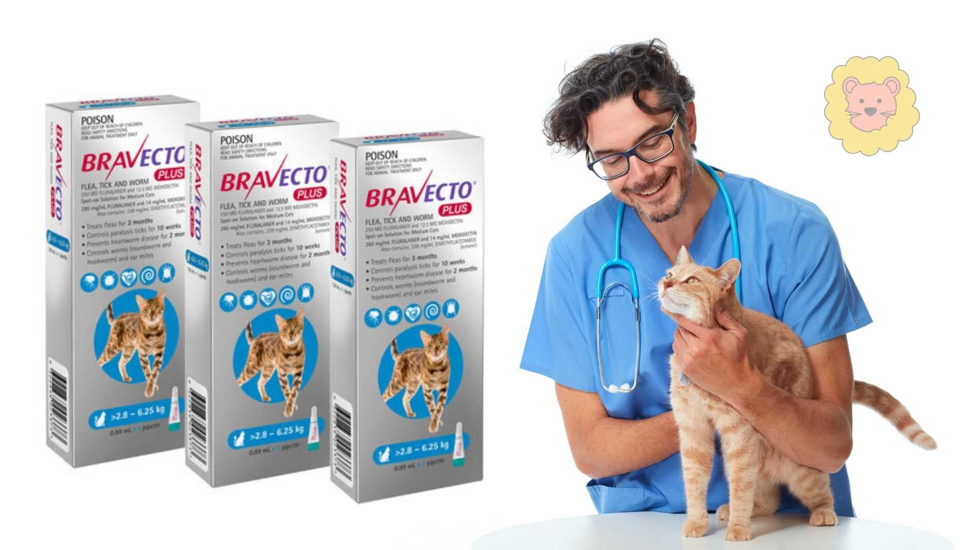 Bravecto Katze kaufen ohne Rezept – Geht das?
