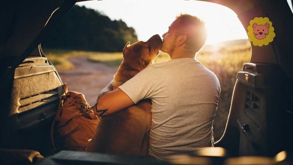 Camping am Comer See mit Hund: Die schönsten Plätze 2025