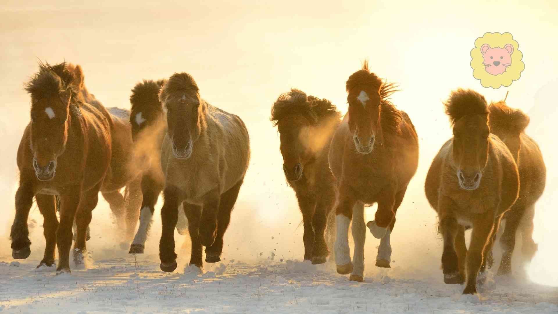 Wie heißt das Pferd von Pippi Langstrumpf? – Kleiner Onkel