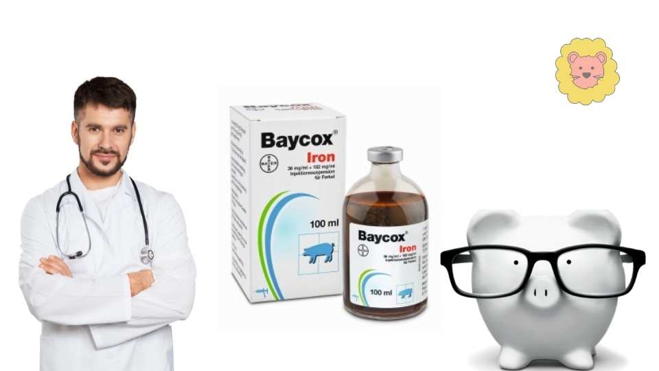 Baycox kaufen ohne Rezept – Geht es online?