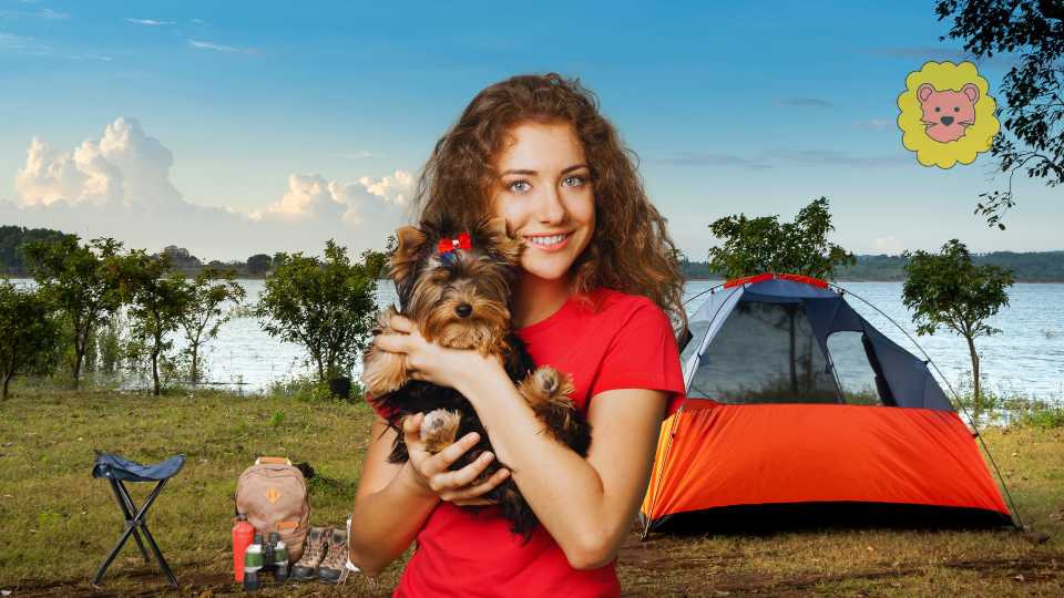 Camping Usedom mit Hund: Ein hundefreundliches Abenteuer 2025