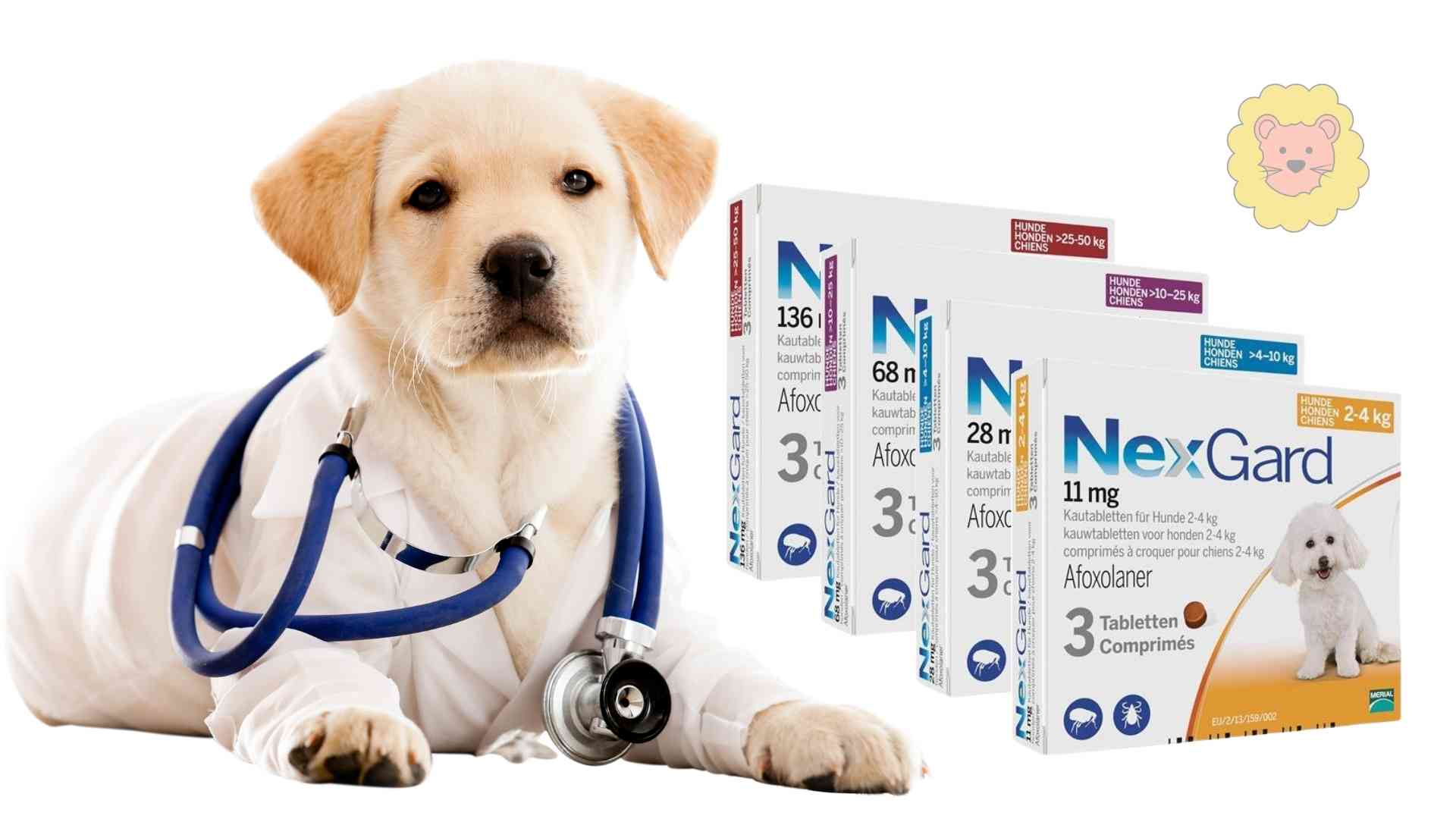 NexGard Hund kaufen ohne Rezept – Erfahrungen und was du wissen musst