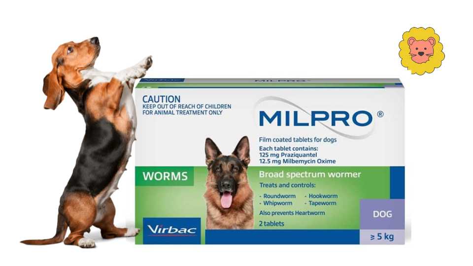 Virbac Milpro Wurmkur Hund – Eine sichere und effektive Wahl