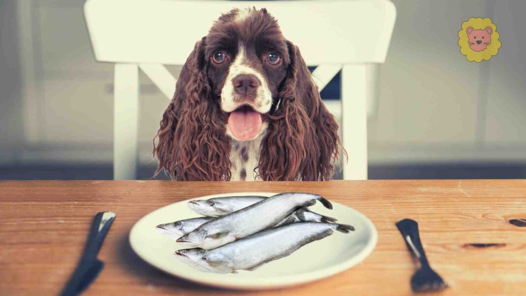 dürfen hunde fish essen