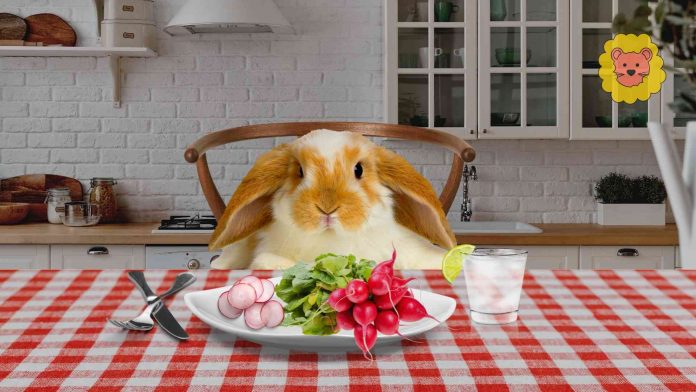 Dürfen Kaninchen Radieschen blätter Essen
