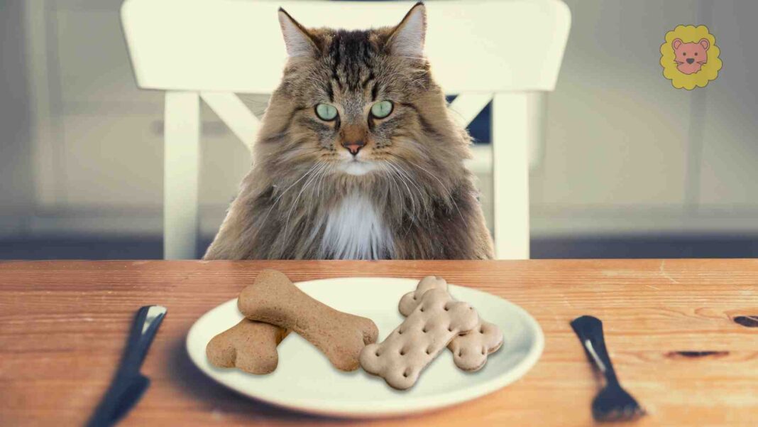 Dürfen Katzen Hundefutter Essen