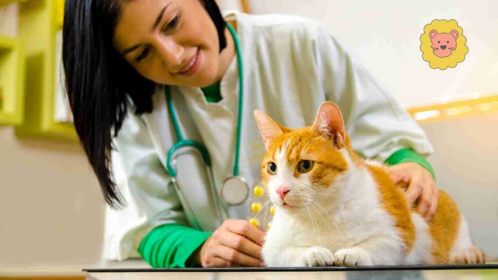 Bandwurm bei Katze Behandlung