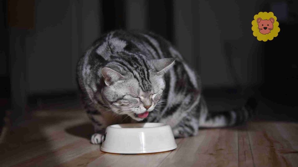 5. Selbstgemachtes Katzenfutterrezept Hähnchenschenkel mit Knochen 