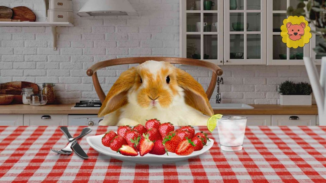 Dürfen kaninchen erdbeeren essen