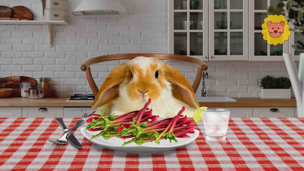 Dürfen kaninchen rhabarber essen