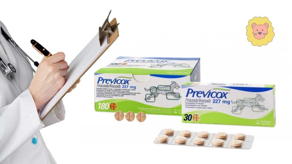 Previcox 227 Mg Hund Kaufen Ohne Rezept