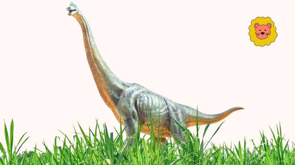 Brachiosaurus Dinosaurier arten