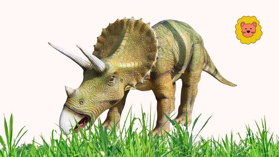 Triceratops Dinosaurier arten